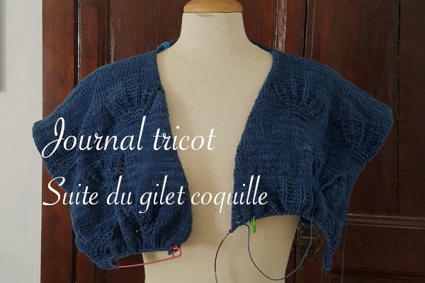 Journal tricot gilet coquille Emma Ducher en cours