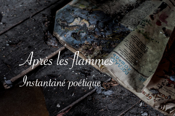 Papier brûler, poésie "Après les flammes" par Lucie Choupaut