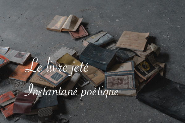 Photos de livres jetés - Poésie instantané de Lucie Choupaut