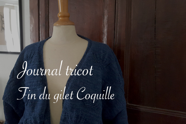 journal tricot gilet coquille - carnet de recherches de Lucie Choupaut