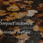 Bonjour automne - Carnet de recherches de Lucie Choupaut