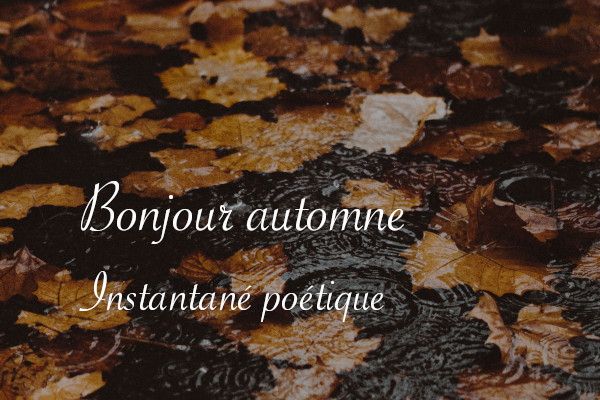 Bonjour automne - Carnet de recherches de Lucie Choupaut