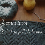 Journal tricot pull Fisherman en cours - Carnet de recherches de Lucie Choupaut