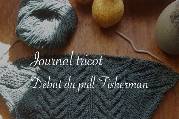 Journal tricot pull Fisherman en cours - Carnet de recherches de Lucie Choupaut