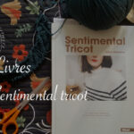 Livre Sentimental tricot d'Alice Hammer - Carnet de recherches de Lucie Choupaut