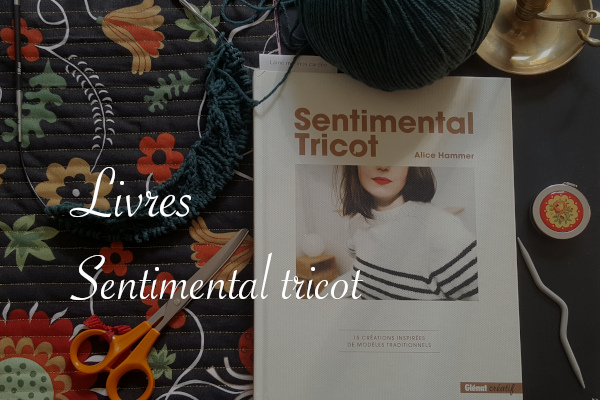 Livre Sentimental tricot d'Alice Hammer - Carnet de recherches de Lucie Choupaut