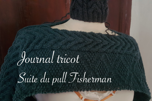 Journal tricot suite du pull Fisherman - Carnet de recherches de Lucie Choupaut