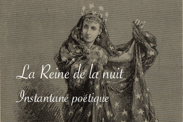 Poésie La Reine de la nuit - Carnet de recherches de Lucie Choupaut