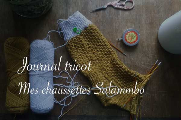 Chaussettes Salammbô en cours - Carnet de recherches de Lucie Choupaut