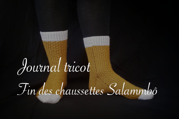 Fin chaussettes Salammbô d'Emma Ducher - Carnet de recherches de Lucie Choupaut