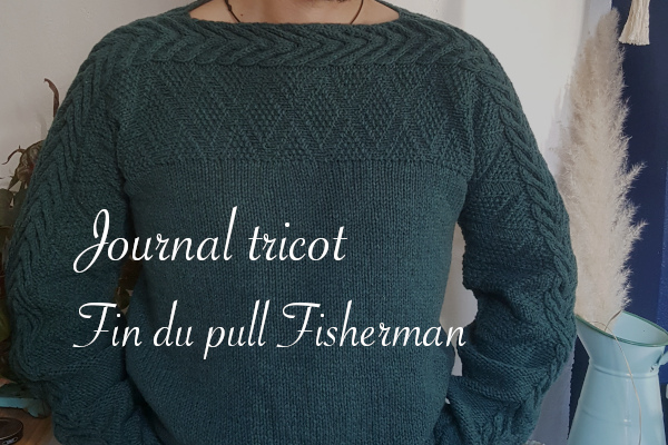 FIn du pull Fisherman d'Alice Hammer - Carnet de recherches de Lucie Choupaut