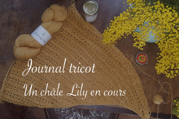 Journal tricot, débuts du châle Lily - Carnet de recherches de Lucie Choupaut