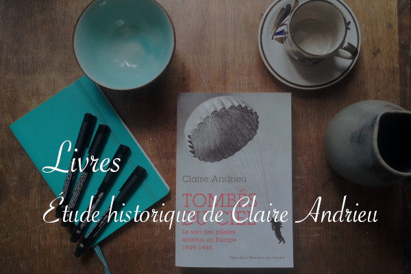 Tombés du ciel, livre d'histoire de Claire Andrieu - Carnet de recherches de Lucie Choupaut