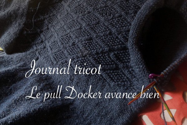 Pull Docker en cours - Carnet de recherches de Lucie Choupaut