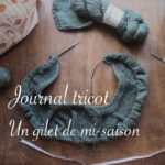 Journal tricot, début du gilet Rendez-vous - Carnet de recherches de Lucie Choupaut