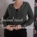 Fin du gilet Rendez-vous d'Atelier Émilie - anar(t)chie, journal de bord de Lucie Choupaut