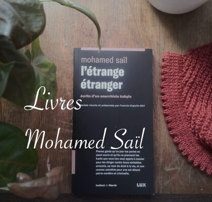 Livres : Mohamed Saïl, L'étrange étranger. - anar(t)chie, journal de bord