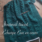 Journal tricot : début de l'écharpe Ewe - anar(t)chie, journal de bord