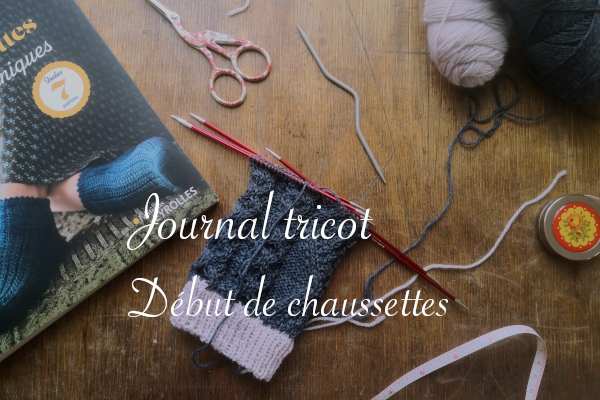 Début des chaussettes mardi torsades - anar(t)chie, journal de bord