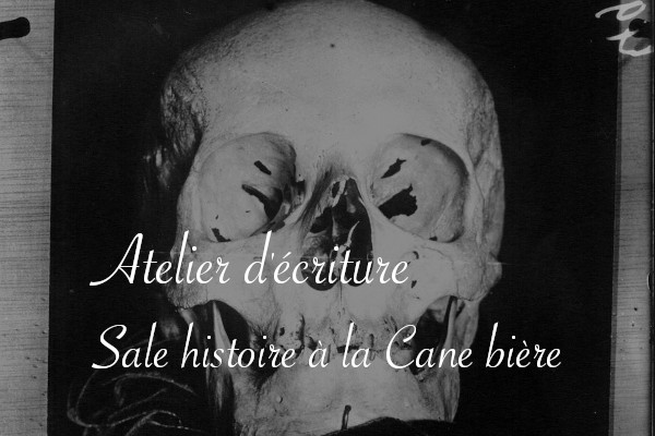 Atelier d'écriture : Sale histoire à la Cane bière - anar(t)chie, journal de bord