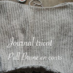 Journal tricot : début du pull Brune - anar(t)chie, journal de bord