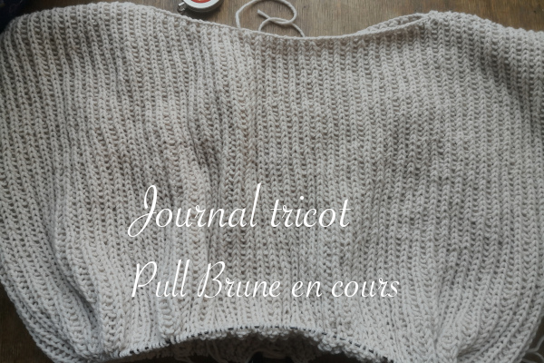 Journal tricot : début du pull Brune - anar(t)chie, journal de bord