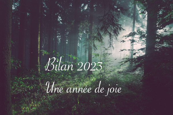 Bilan 2023 - anar(t)chie, journal de bord