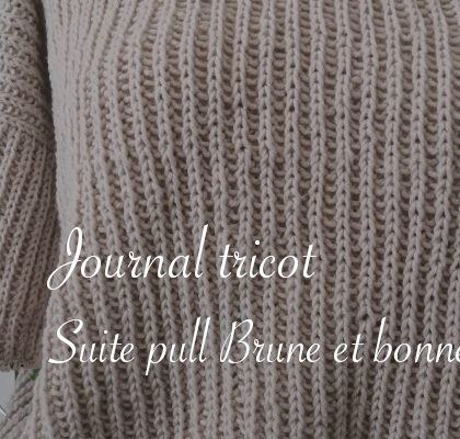 Journal tricot : suite du pull Brune et bonnet à côtes - anar(t)chie, journal de bord