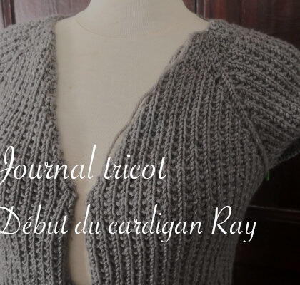 Journal tricot : début du cardigan Ray - anar(t)chie, journal de bord