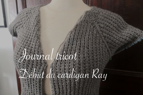 Journal tricot : début du cardigan Ray - anar(t)chie, journal de bord