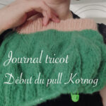 Journal tricot : début du pull Kornog - anar(t)chie, journal de bord