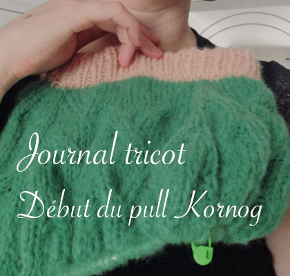 Journal tricot : début du pull Kornog - anar(t)chie, journal de bord