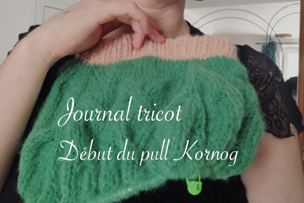 Journal tricot : début du pull Kornog - anar(t)chie, journal de bord