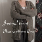 Journal tricot : fin du cardigan Ray d'Alice Hammer - anar(t)chie,journal de bord