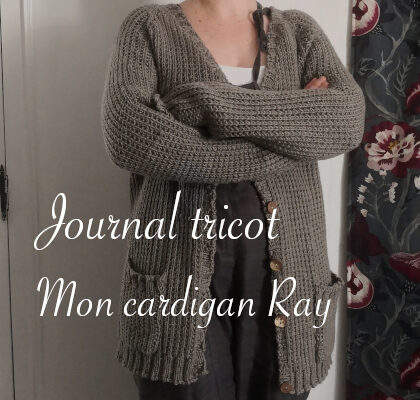 Journal tricot : fin du cardigan Ray d'Alice Hammer - anar(t)chie,journal de bord