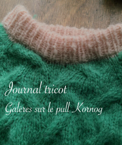 Pull Kornog et malédiction du fil duveteux - Lucie Choupaut, écriture, illustration, diy