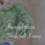 Journal tricot : fin du pull Kornog - Lucie Choupaut, raconteuse d'histoire(s)