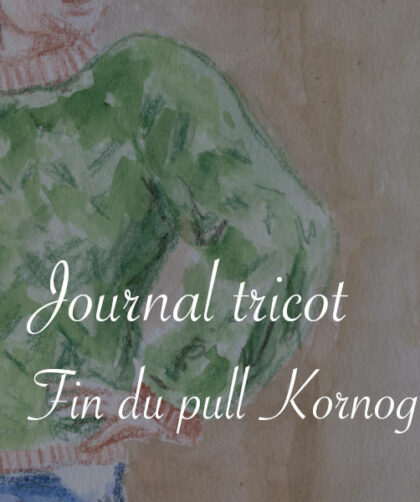 Journal tricot : fin du pull Kornog - Lucie Choupaut, raconteuse d'histoire(s)