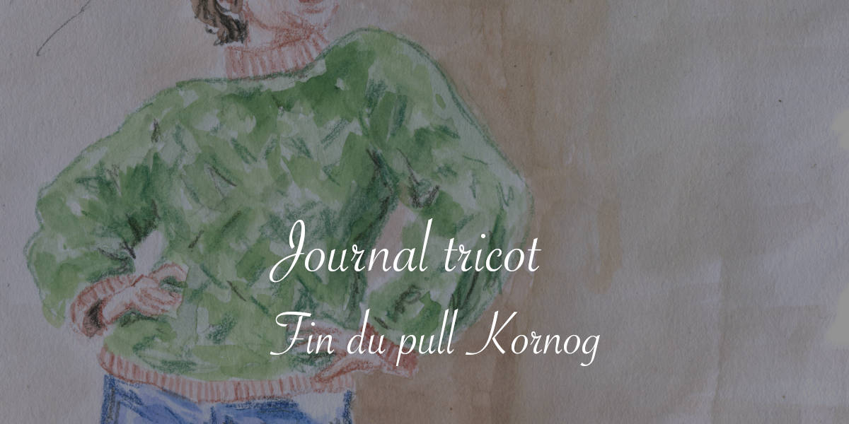 Journal tricot : fin du pull Kornog - Lucie Choupaut, raconteuse d'histoire(s)