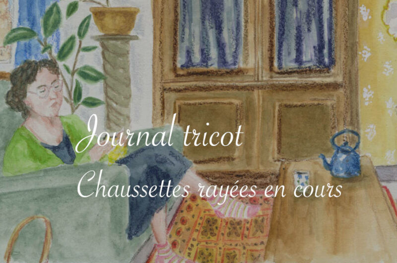 Journal tricot : chaussettes rayées en cours - Lucie Choupaut