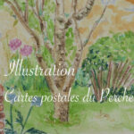 Illustration : cartes postales du Perche - Lucie Choupaut