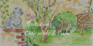 Illustration : cartes postales du Perche - Lucie Choupaut