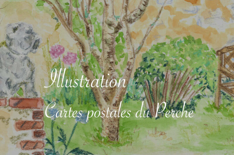 Illustration : cartes postales du Perche - Lucie Choupaut