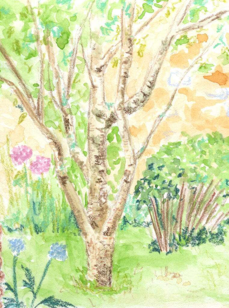 détail d'une illustration en couleurs, un arbre à l'aquarelle