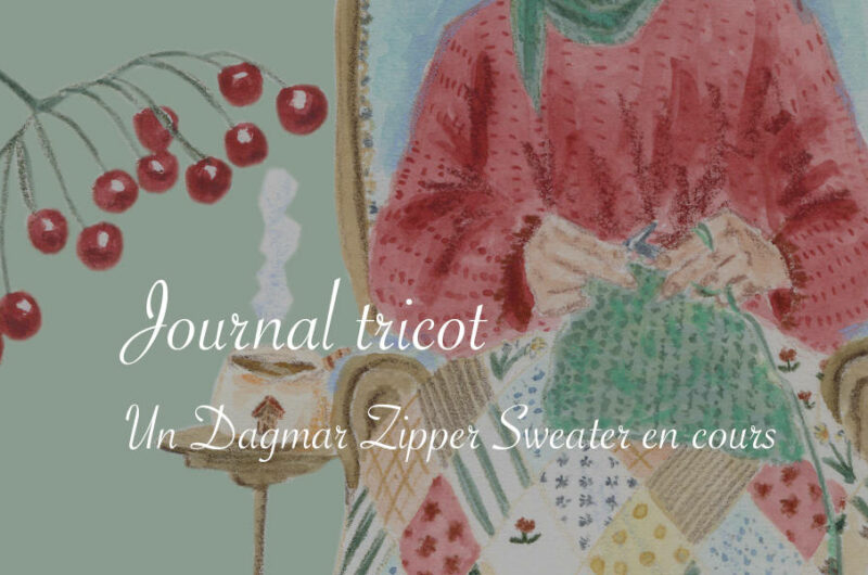Journal tricot : Dagmar Zipper Sweater en cours - Lucie Choupaut