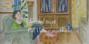 Journal tricot : pull Victor terminé - Lucie Choupaut